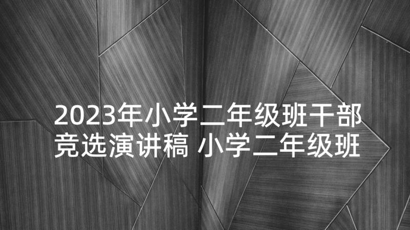 2023年小学二年级班干部竞选演讲稿 小学二年级班干部竞选演讲(实用9篇)