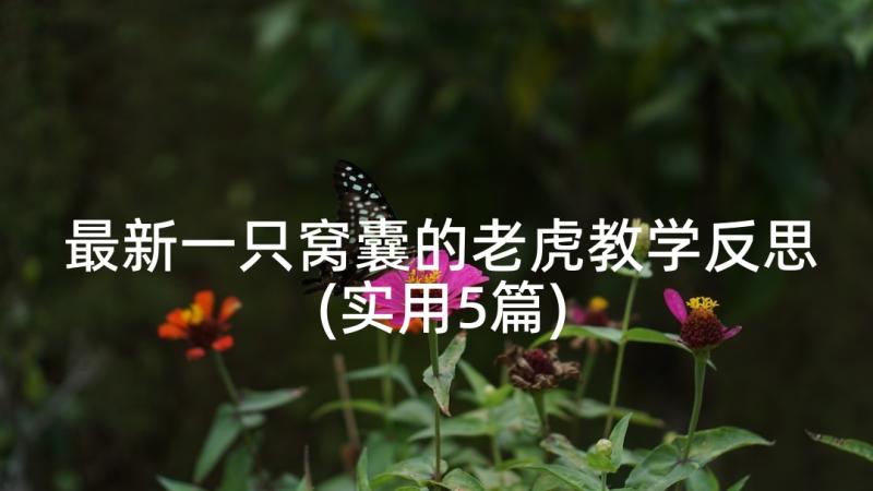 最新一只窝囊的老虎教学反思(实用5篇)