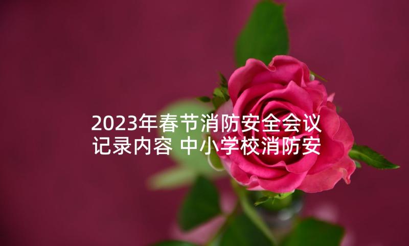 2023年春节消防安全会议记录内容 中小学校消防安全会议记录版(实用5篇)