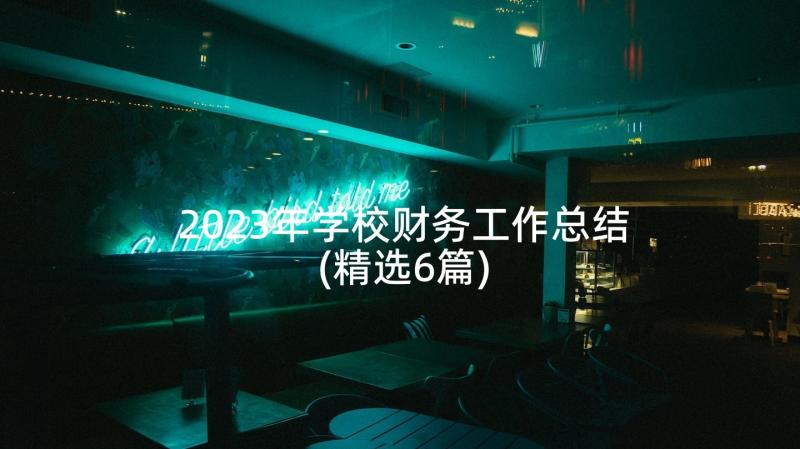 2023年学校财务工作总结(精选6篇)