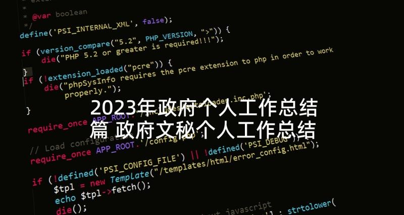 2023年政府个人工作总结篇 政府文秘个人工作总结(优质5篇)