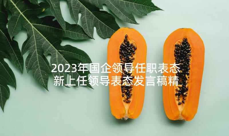 2023年国企领导任职表态 新上任领导表态发言稿精彩(实用5篇)