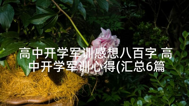 高中开学军训感想八百字 高中开学军训心得(汇总6篇)