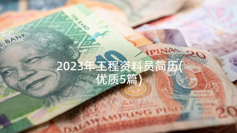 2023年工程资料员简历(优质5篇)