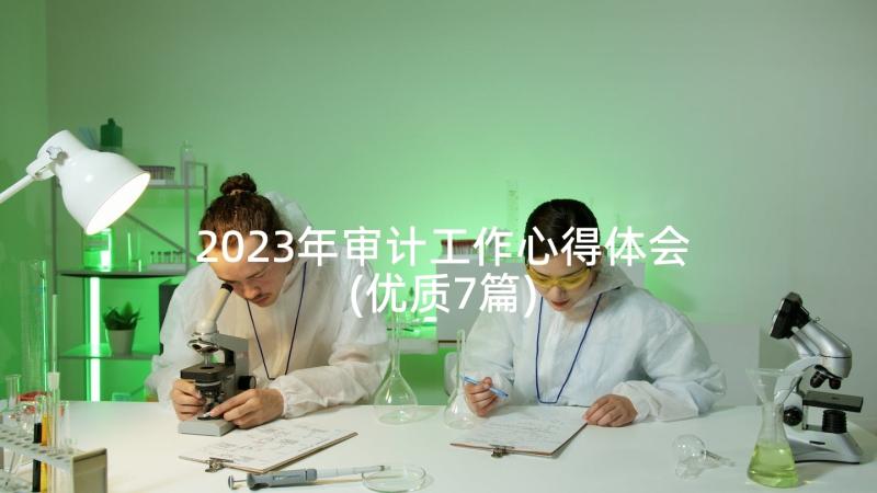 2023年审计工作心得体会(优质7篇)