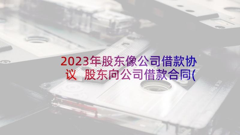 2023年股东像公司借款协议 股东向公司借款合同(汇总5篇)