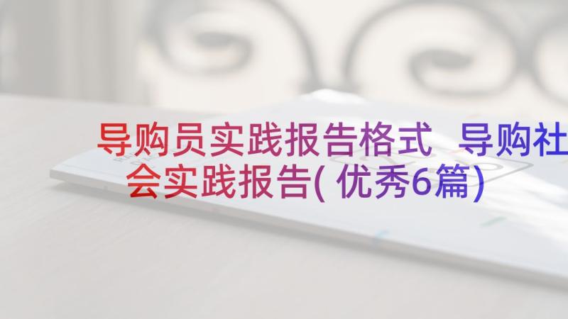 导购员实践报告格式 导购社会实践报告(优秀6篇)