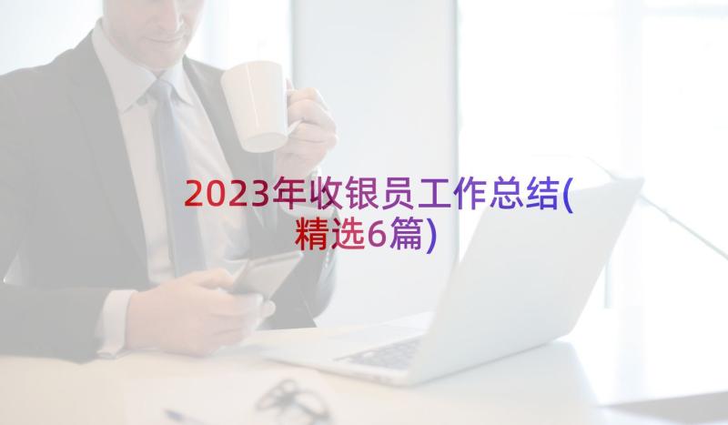 2023年收银员工作总结(精选6篇)