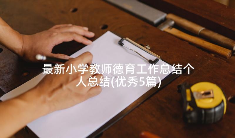 最新小学教师德育工作总结个人总结(优秀5篇)