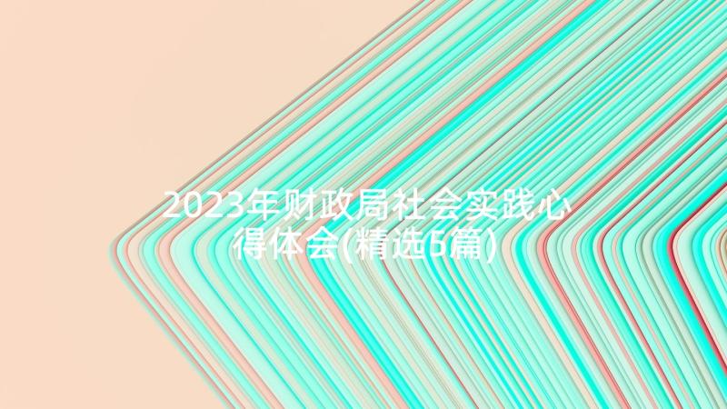 2023年财政局社会实践心得体会(精选5篇)