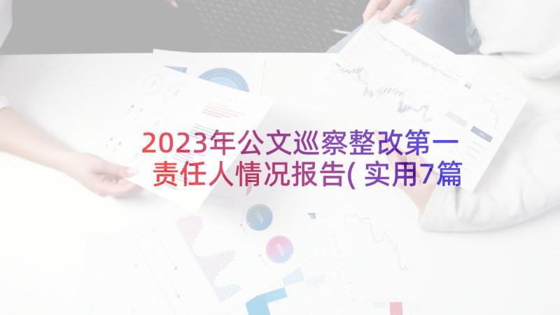 2023年公文巡察整改第一责任人情况报告(实用7篇)