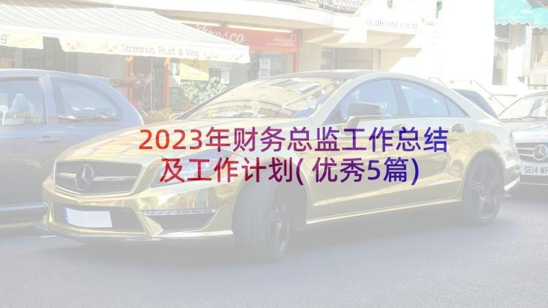 2023年财务总监工作总结及工作计划(优秀5篇)