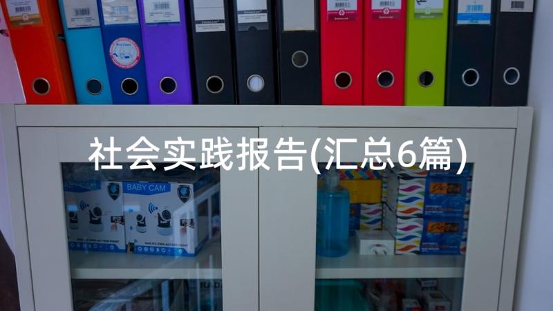 社会实践报告(汇总6篇)