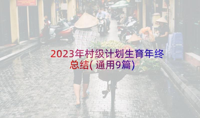 2023年村级计划生育年终总结(通用9篇)