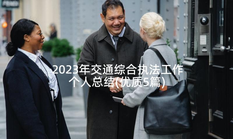 2023年交通综合执法工作个人总结(优质5篇)