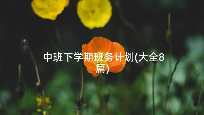 中班下学期班务计划(大全8篇)