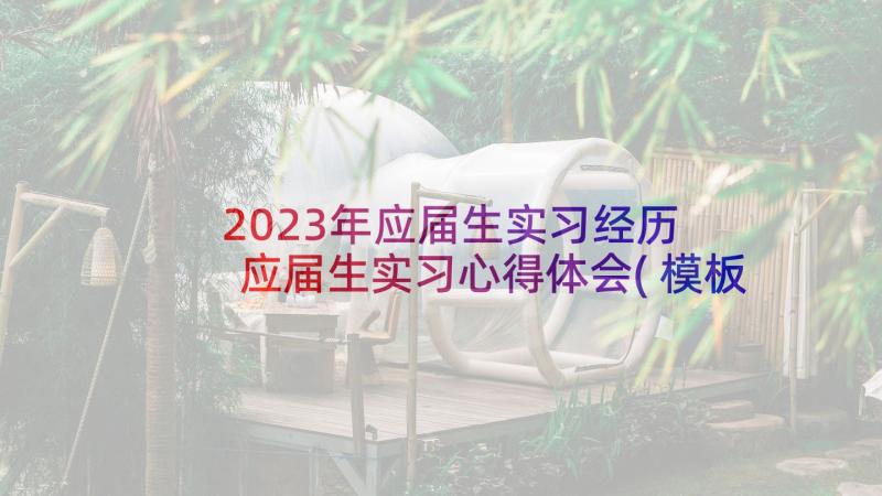 2023年应届生实习经历 应届生实习心得体会(模板9篇)