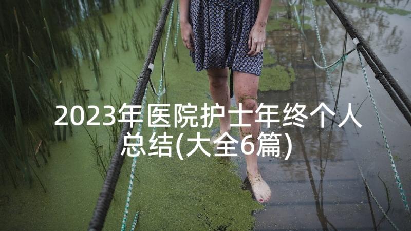 2023年医院护士年终个人总结(大全6篇)