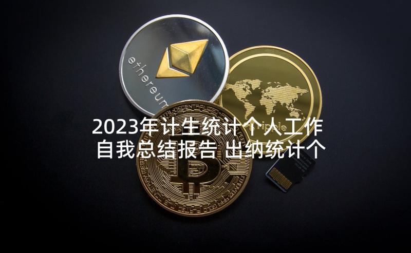 2023年计生统计个人工作自我总结报告 出纳统计个人工作自我总结(优秀5篇)