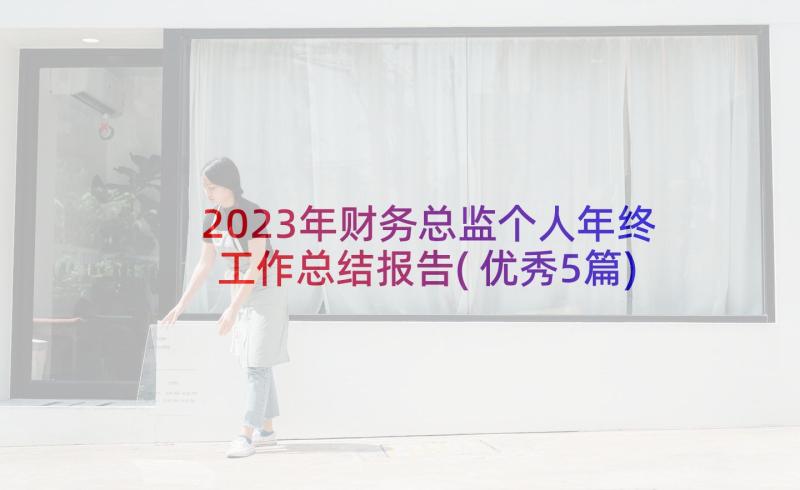 2023年财务总监个人年终工作总结报告(优秀5篇)