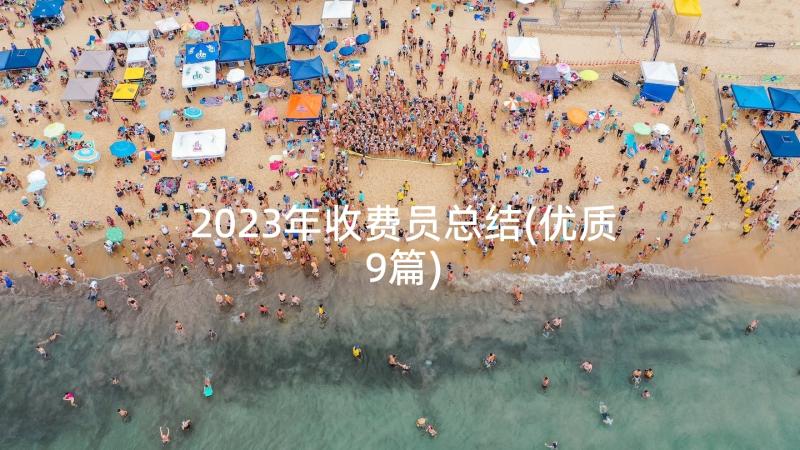 2023年收费员总结(优质9篇)