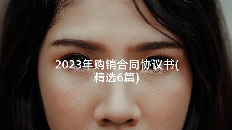 2023年购销合同协议书(精选6篇)