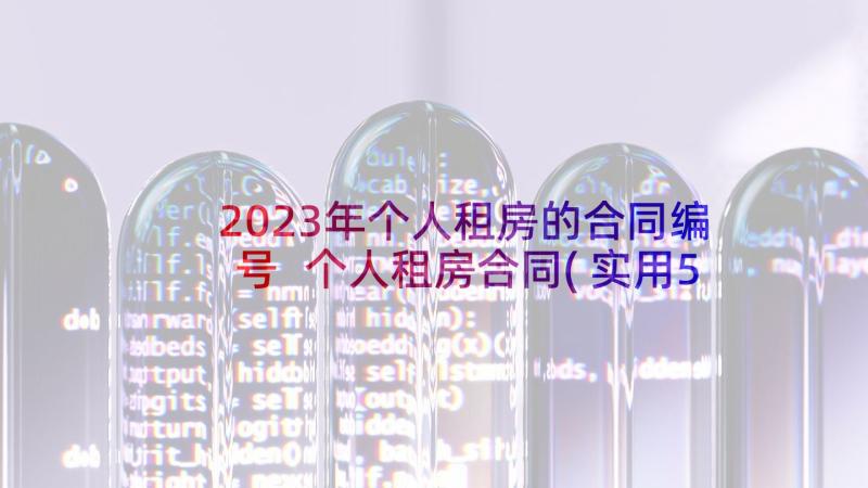 2023年个人租房的合同编号 个人租房合同(实用5篇)