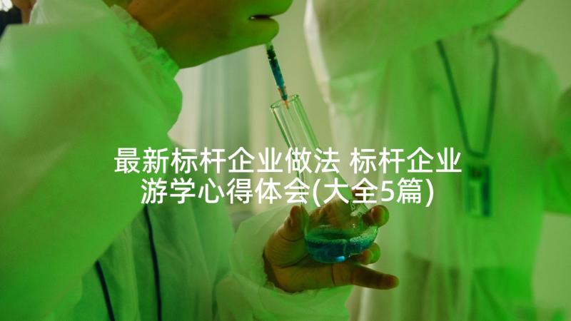 最新标杆企业做法 标杆企业游学心得体会(大全5篇)