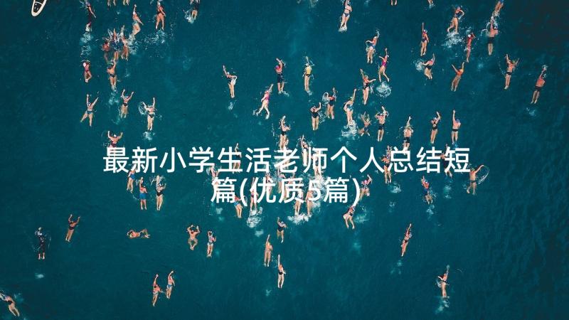 最新小学生活老师个人总结短篇(优质5篇)