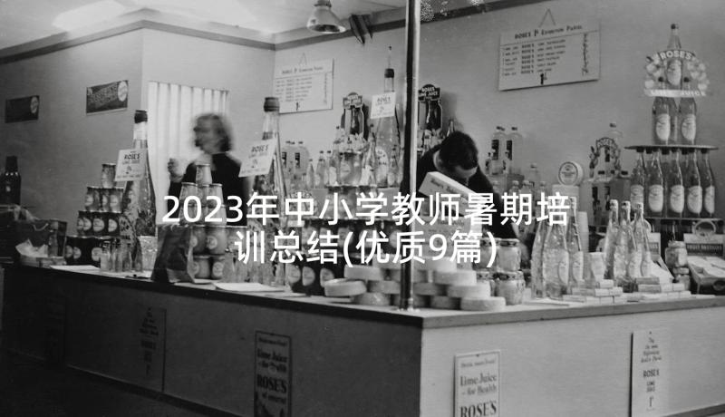 2023年中小学教师暑期培训总结(优质9篇)