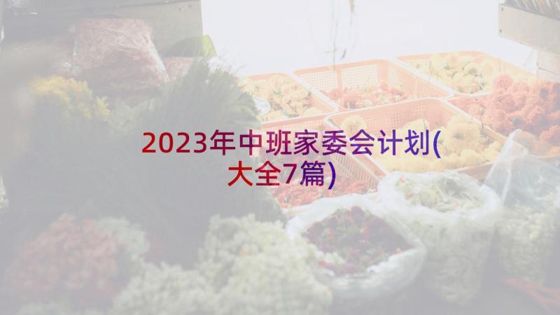 2023年中班家委会计划(大全7篇)