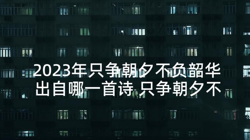 2023年只争朝夕不负韶华出自哪一首诗 只争朝夕不负韶华演讲稿(模板7篇)