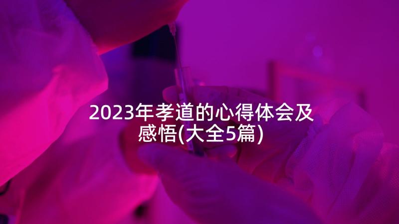 2023年孝道的心得体会及感悟(大全5篇)