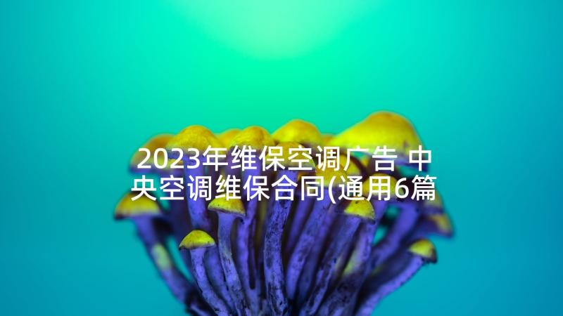 2023年维保空调广告 中央空调维保合同(通用6篇)