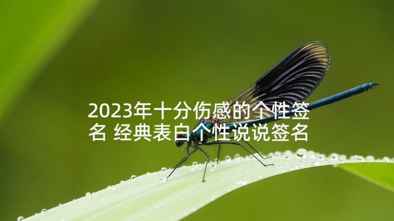 2023年十分伤感的个性签名 经典表白个性说说签名精彩(实用5篇)