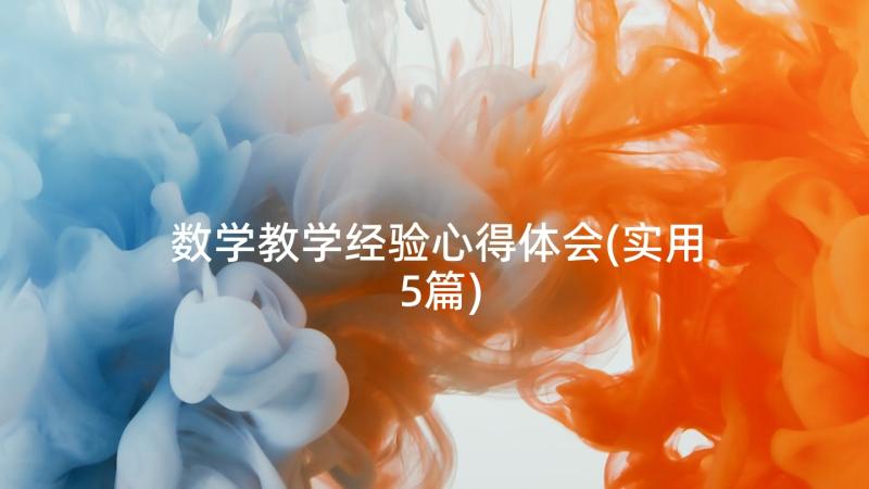 数学教学经验心得体会(实用5篇)