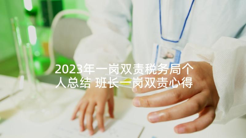 2023年一岗双责税务局个人总结 班长一岗双责心得体会(优质8篇)