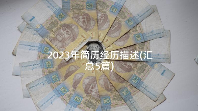 2023年简历经历描述(汇总5篇)