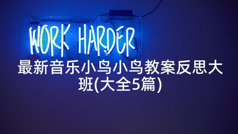 最新音乐小鸟小鸟教案反思大班(大全5篇)