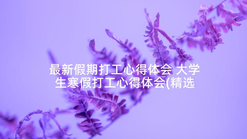 最新假期打工心得体会 大学生寒假打工心得体会(精选5篇)