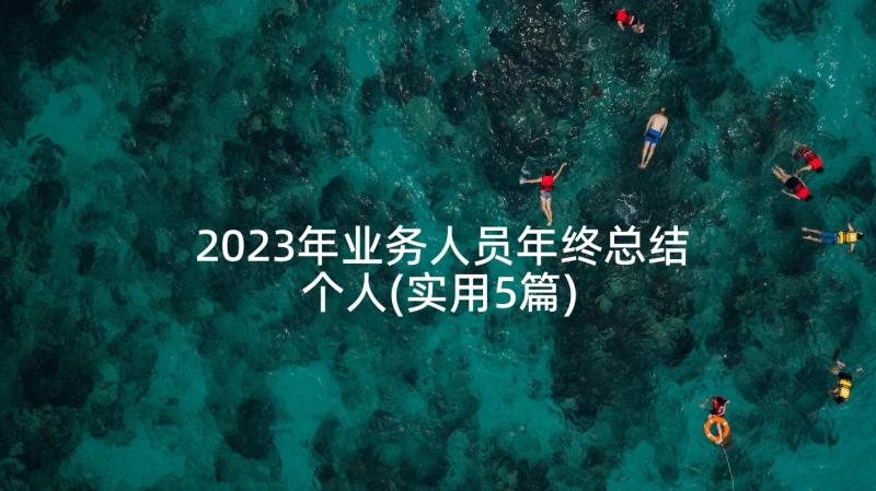 2023年业务人员年终总结个人(实用5篇)