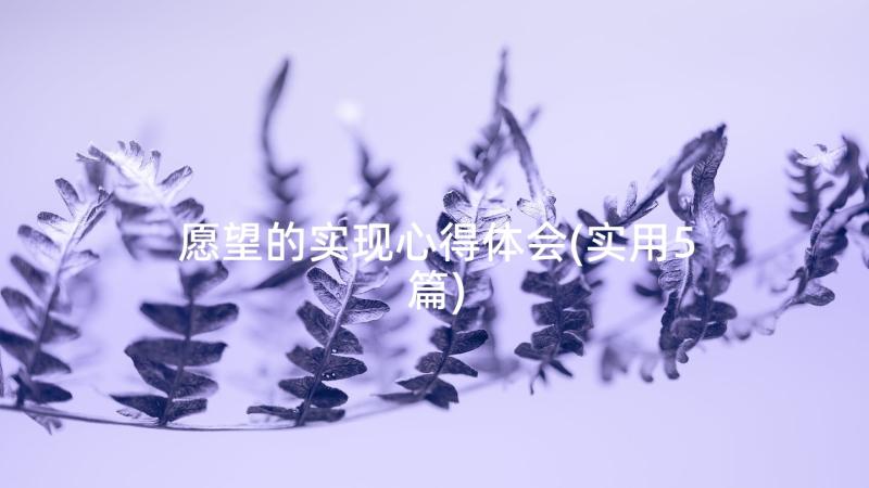 愿望的实现心得体会(实用5篇)