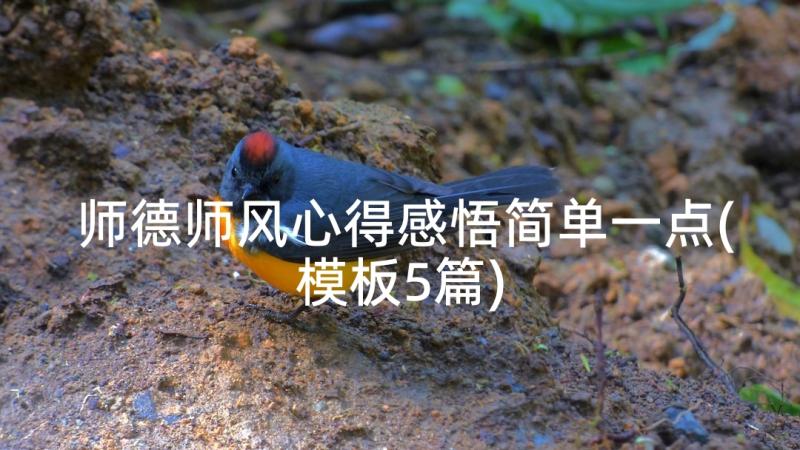 师德师风心得感悟简单一点(模板5篇)