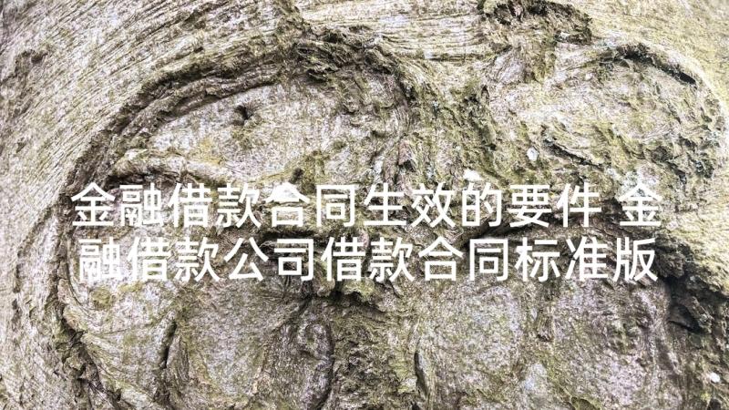 金融借款合同生效的要件 金融借款公司借款合同标准版(优秀5篇)