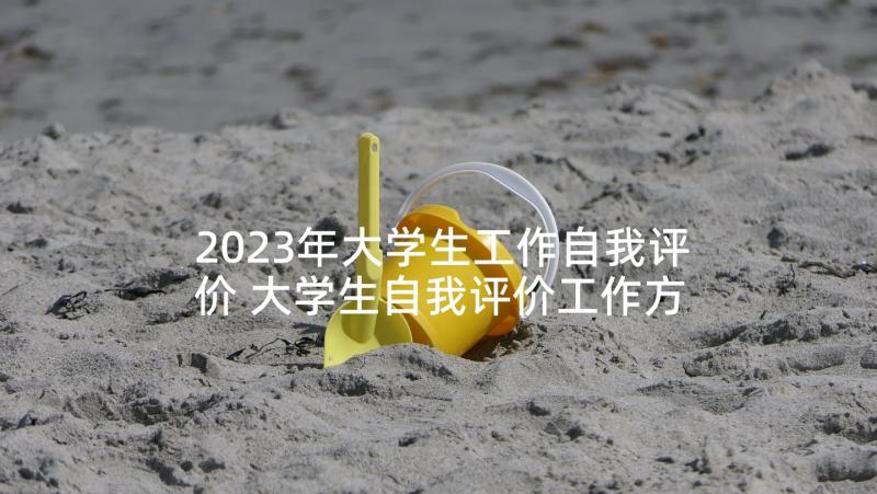 2023年大学生工作自我评价 大学生自我评价工作方面(模板8篇)