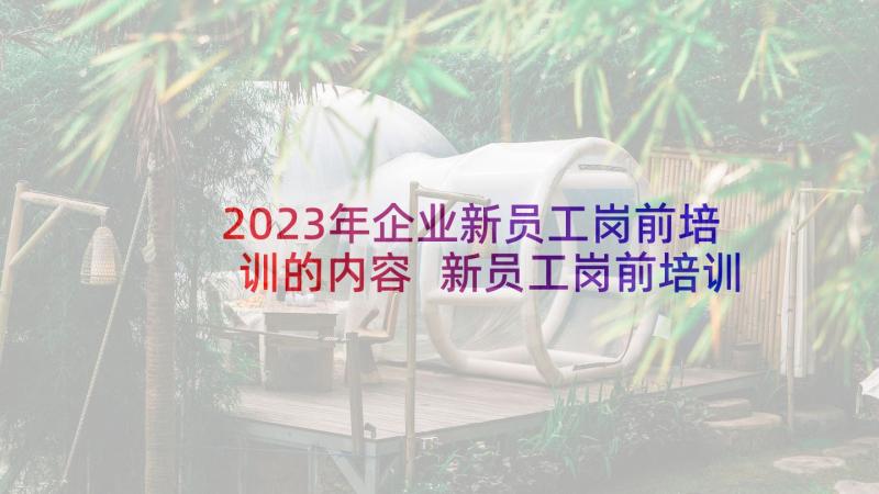 2023年企业新员工岗前培训的内容 新员工岗前培训心得体会(优质5篇)