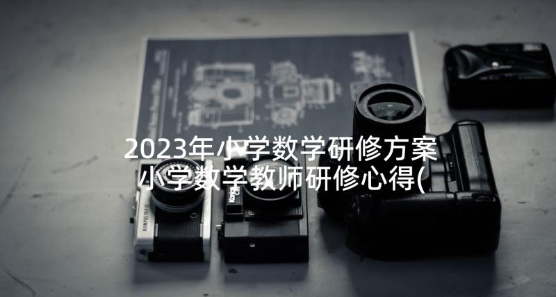 2023年小学数学研修方案 小学数学教师研修心得(大全5篇)