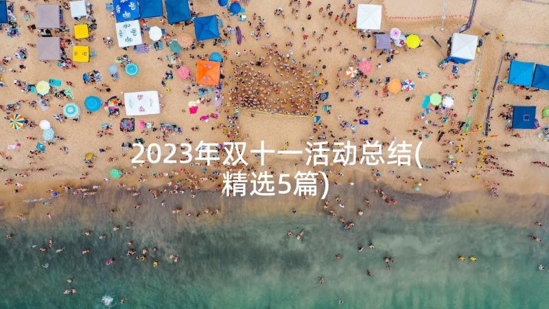 2023年双十一活动总结(精选5篇)