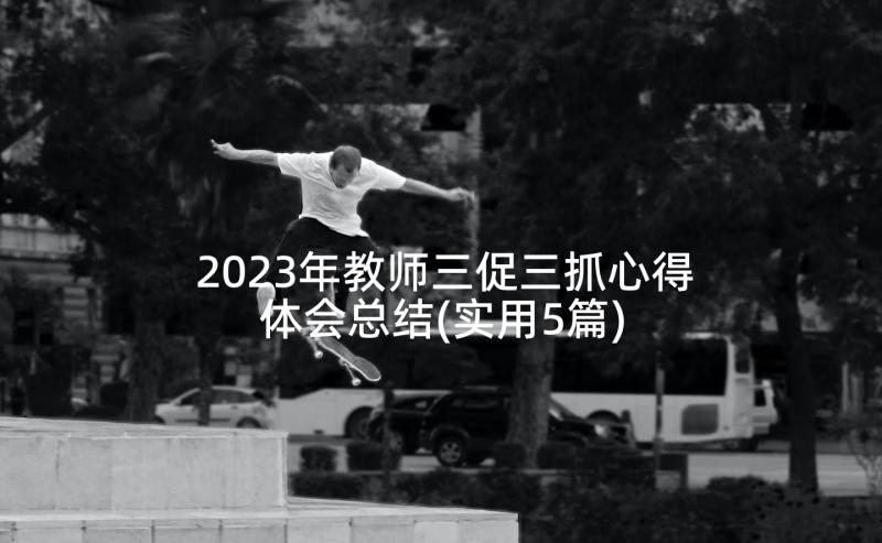 2023年教师三促三抓心得体会总结(实用5篇)