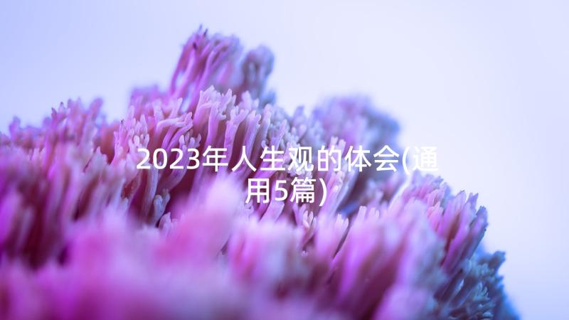 2023年人生观的体会(通用5篇)